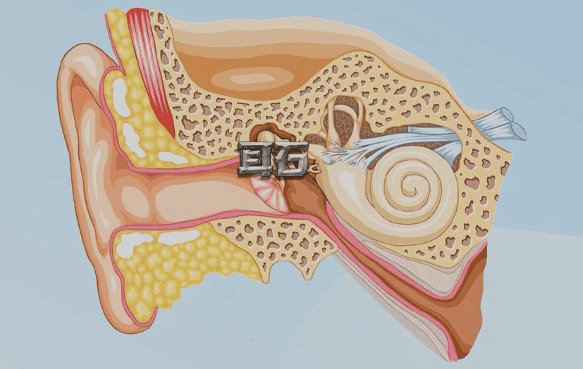 可能是耳朵出了问题_澎湃号·湃客_澎湃新闻-the paper