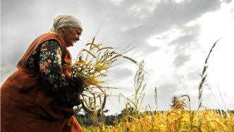 IPBES 报告呼吁考虑自然的多样化价值