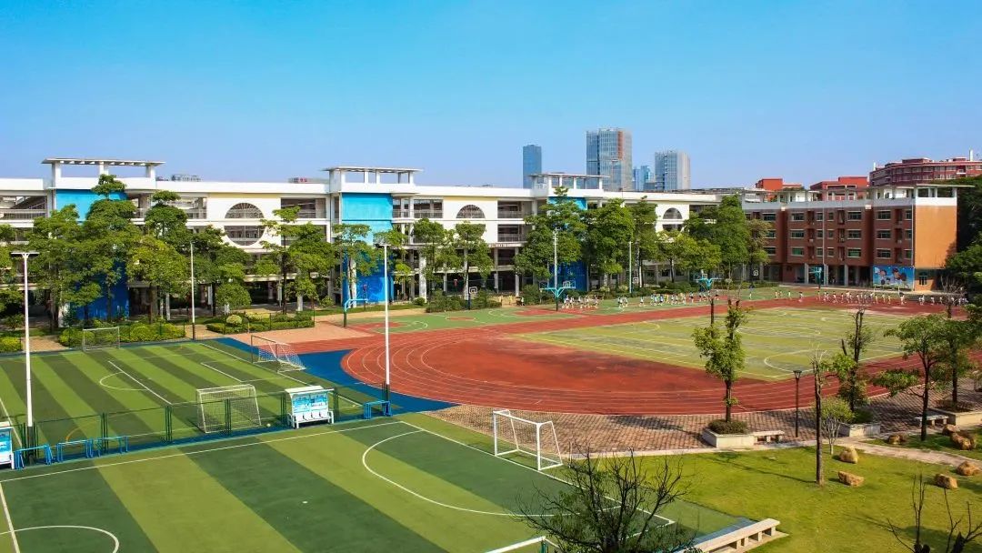 免费!南城全部公办中小学运动场对外开放,预约指南