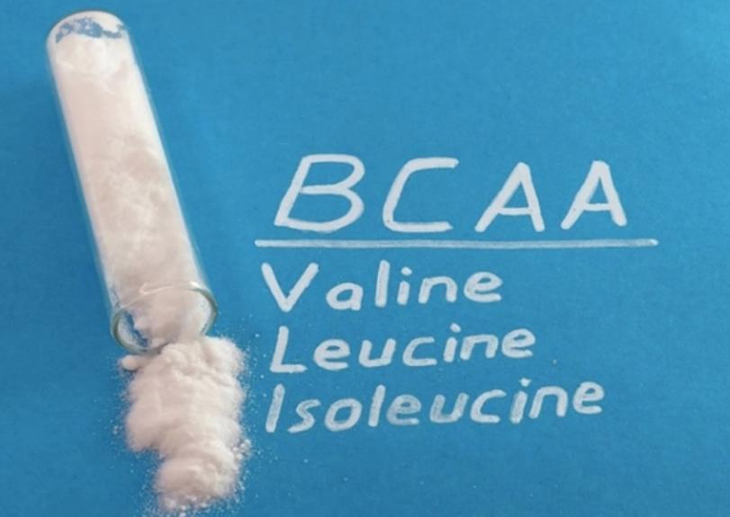 支链氨基酸 促合成，助免疫，BCAA不可少_澎湃号·湃客_澎湃新闻The Paper