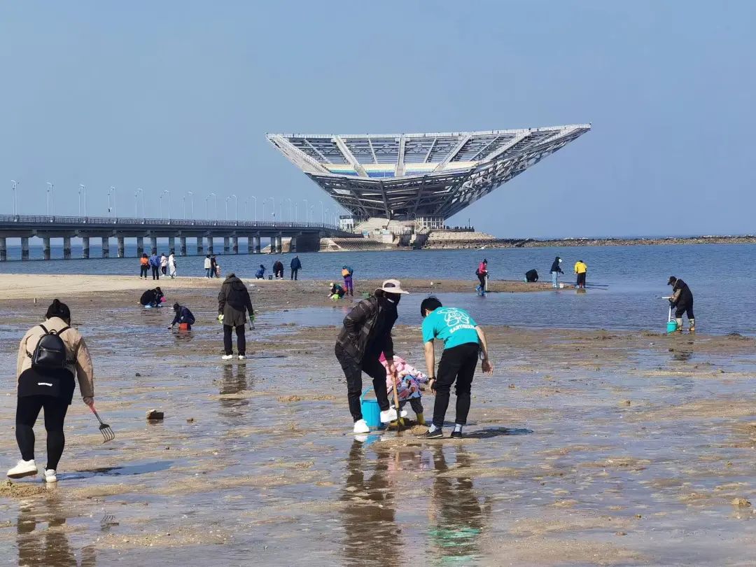 阿忙赶海图片