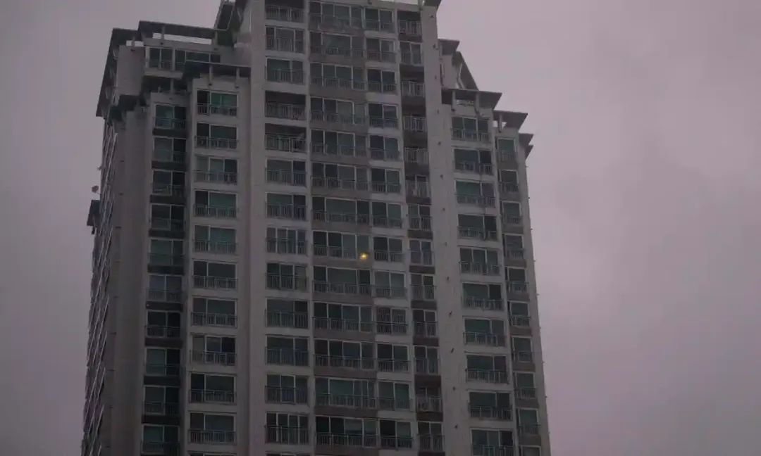 獨居社恐拯救計劃:每月3000,幫就業幫看病幫整容 1 283
