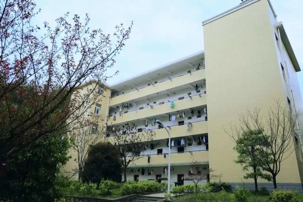 平面图(道路采用三纵七横)二,征名范围本次征集面向寿昌中学全体教职