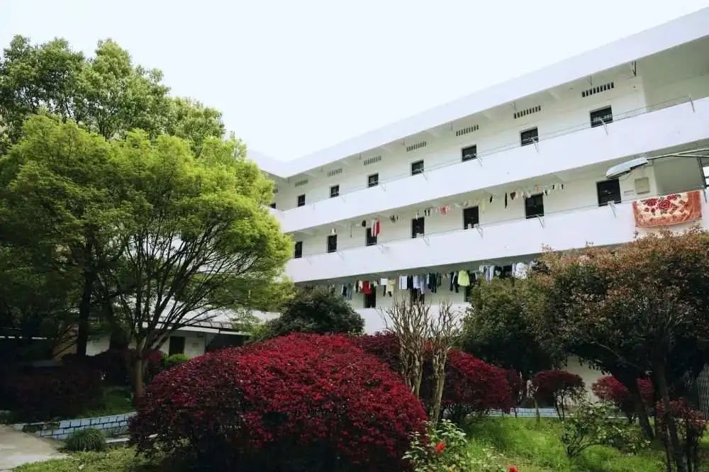 "募"名而来,寿昌中学这些地方等你来做主!