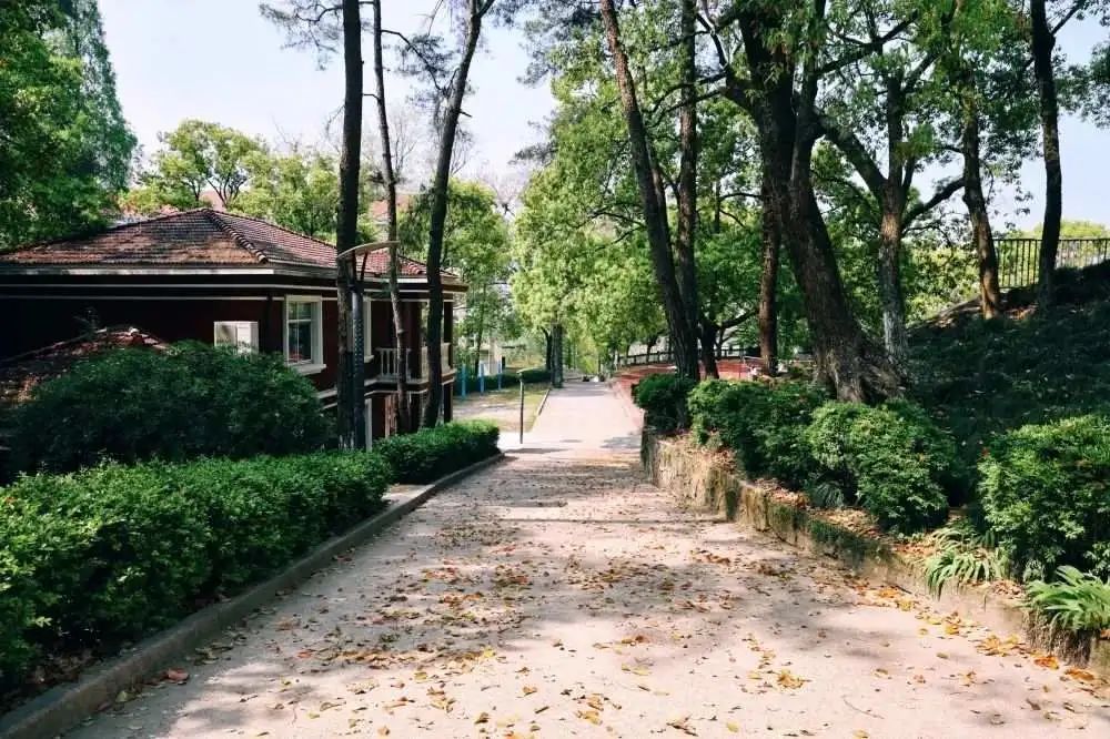 "募"名而来,寿昌中学这些地方等你来做主!