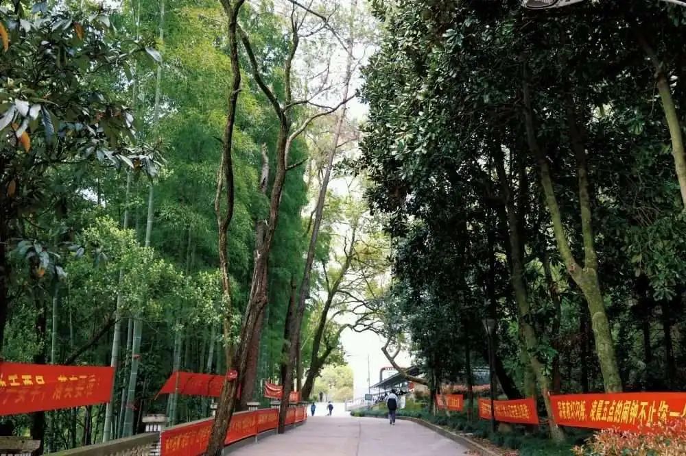 "募"名而来,寿昌中学这些地方等你来做主!