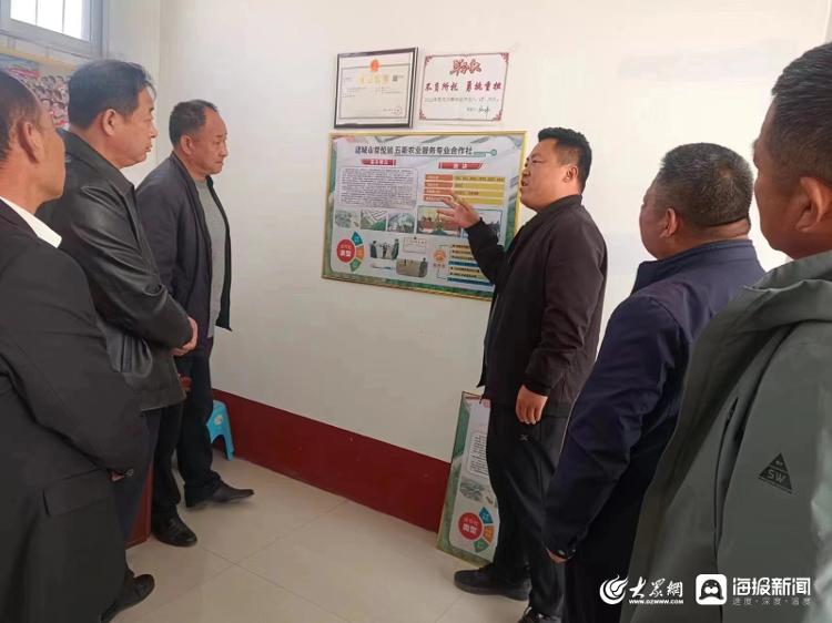 诸城市贾悦镇:头雁领航群雁齐飞 示范引领全面开花_澎湃号·媒体_澎湃