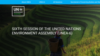 第六届联合国环境大会新增议程项目：与多边环境协定的合作