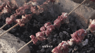新疆红柳烤肉_红柳烤肉签子能用几次_红柳烤肉