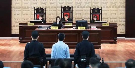 赣南医学院第三附属医院原党委副书记,院长廖敏受贿案一审开庭_澎湃号