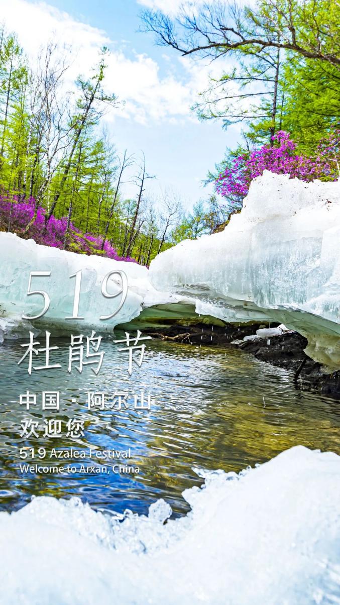 【第十五届阿尔山杜鹃节】花有约，春不负 ！ 演员丁柳元邀您共赴阿尔山杜鹃花海