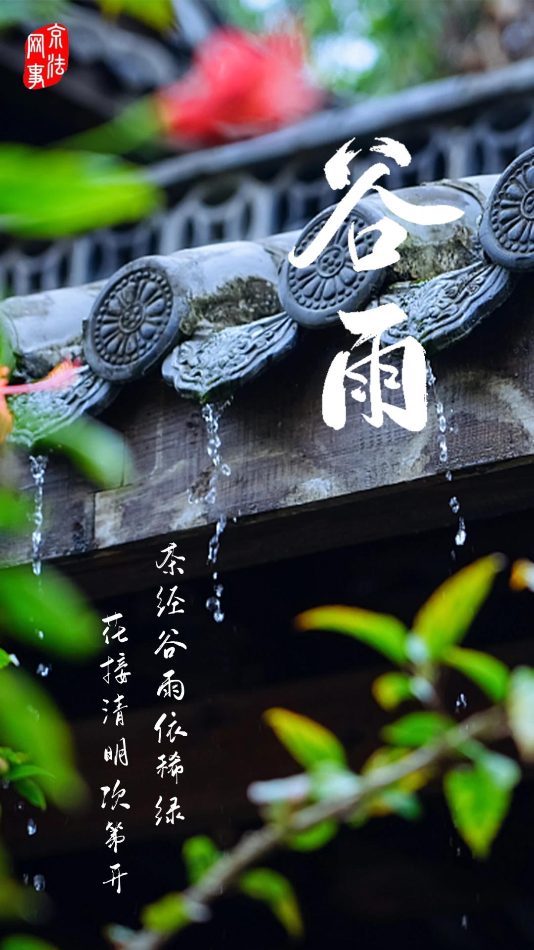 今日谷雨:茶经谷雨依稀绿 花接清明次第开_澎湃号·政务_澎湃新闻-The Paper