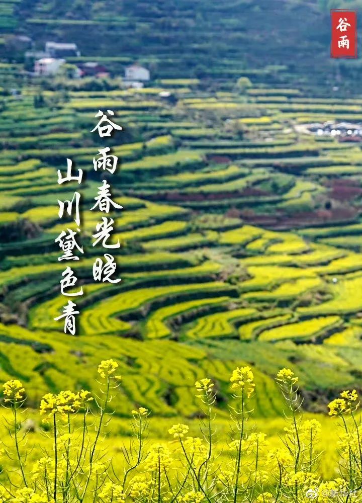 今日,谷雨_澎湃号·政务_澎湃新闻-The Paper