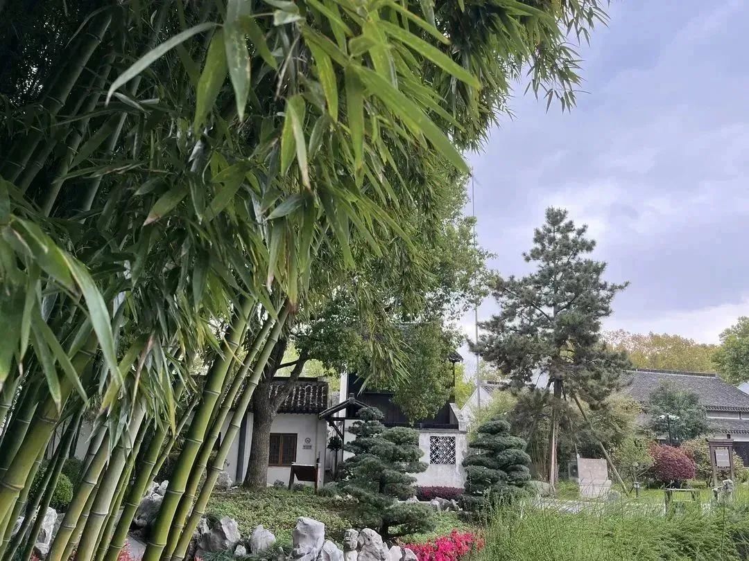 二十四节气| 谷雨,是春天的最后一次回眸_澎湃号·湃客_澎湃新闻-The Paper