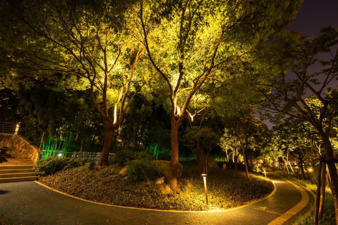 树梢间"挂上"了鸟巢,其实是鸟巢形照树灯,它们将岸线整体提亮补暗的