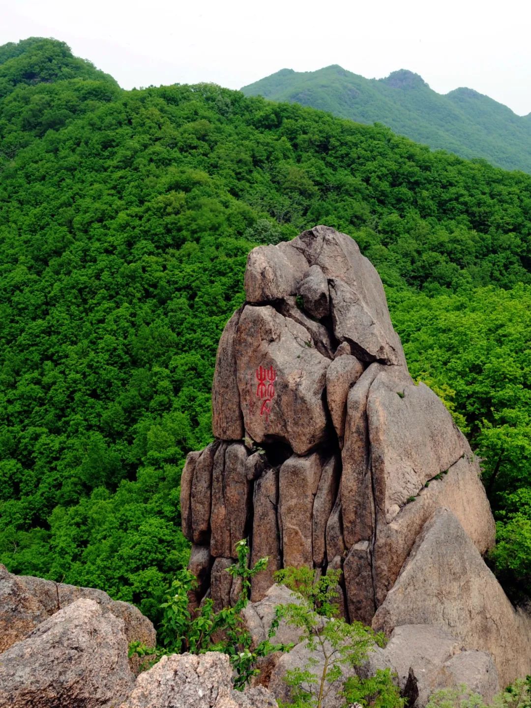 吉林市朱雀山公墓图片