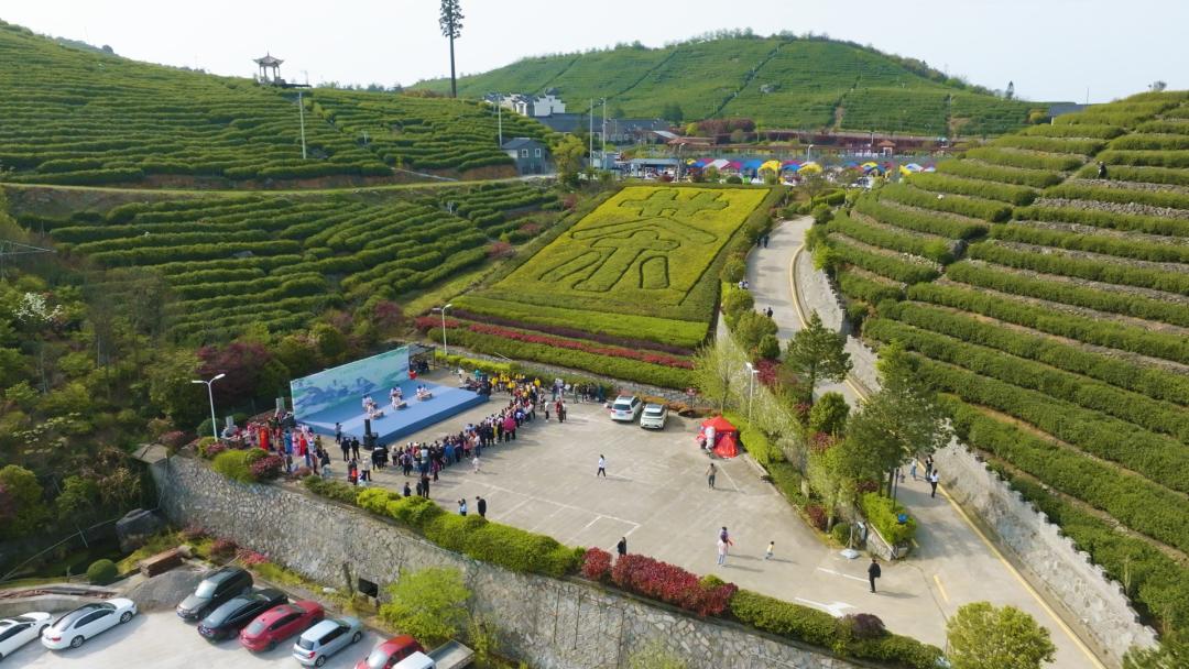 羊岩山茶文化园景区图片