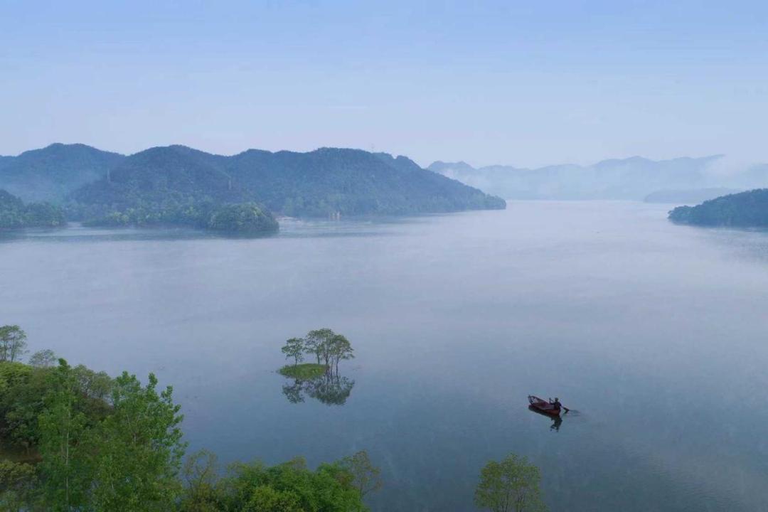 谷雨丨春种百谷 雨生万物_澎湃号·政务_澎湃新闻-The Paper