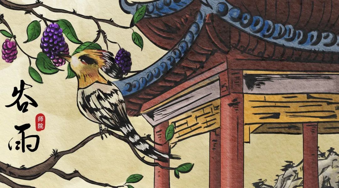文化育人大思政课 | 遇见二十四节气——谷雨_澎湃号·政务_澎湃新闻-The Paper