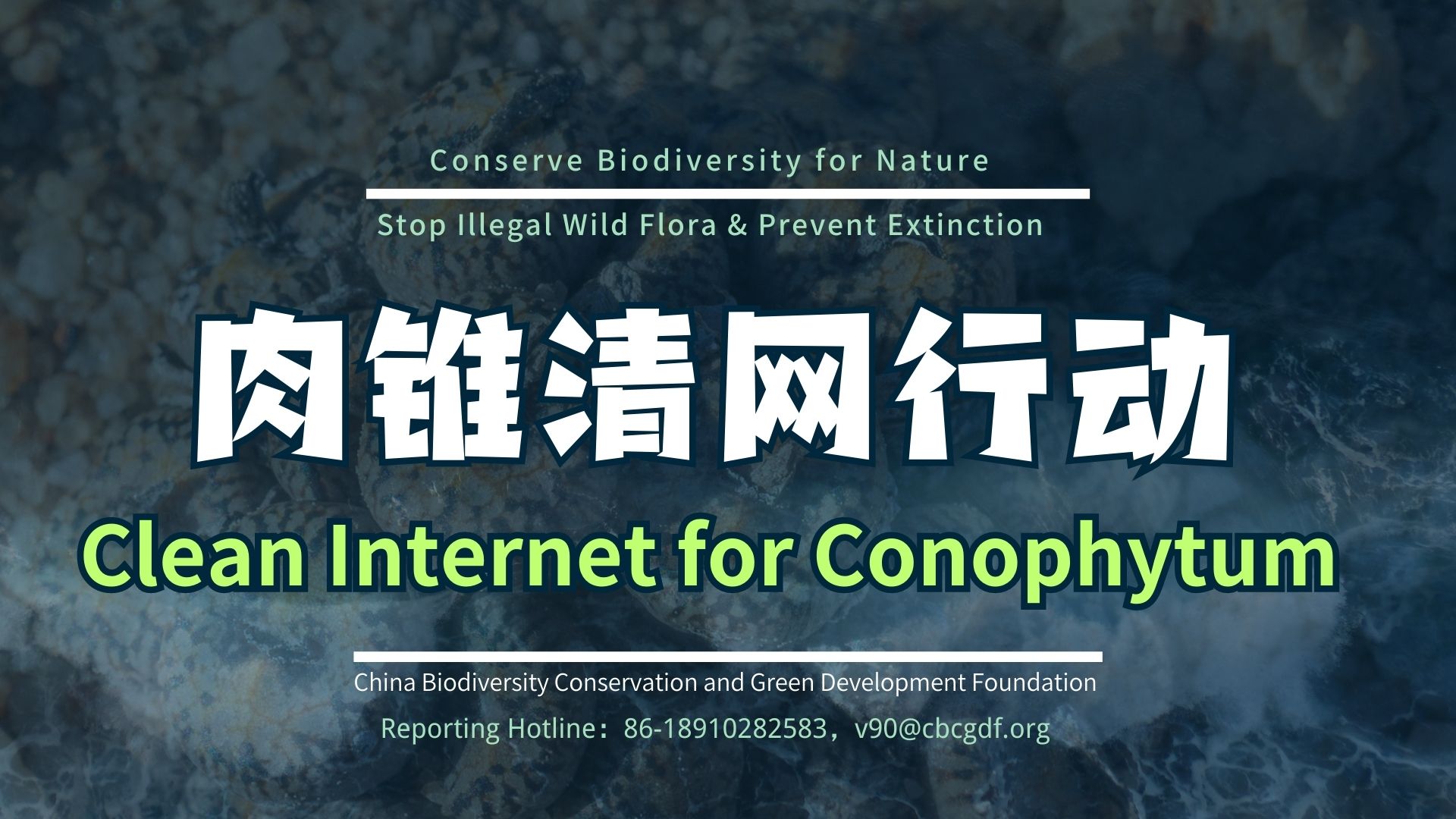 conserve biodiversity图片