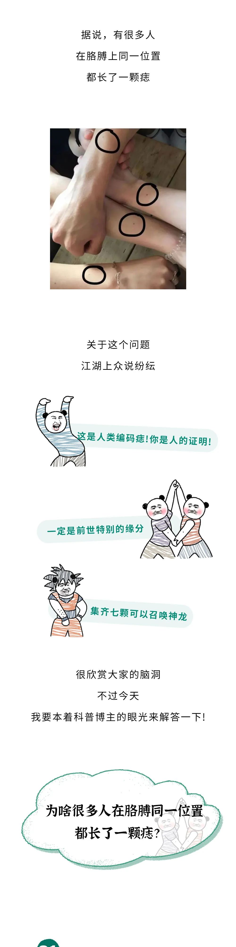 澎湃新闻