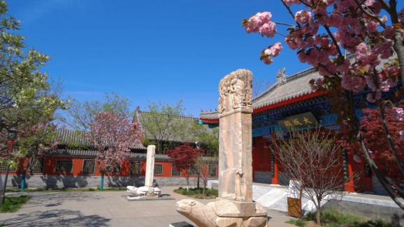 【中国式现代化望都场景】海棠花开  "醉"美尧母文化园里品文化之香