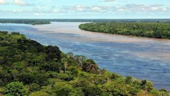 巴西总统卢拉希望在所有生物群落区借鉴亚马孙的经验
