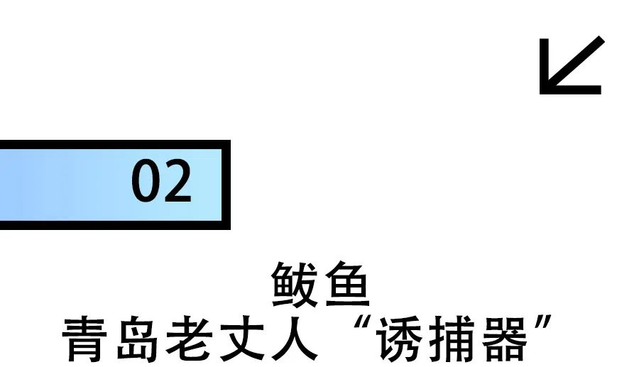 有多少外地人被忽悠去青岛看潮鲅?