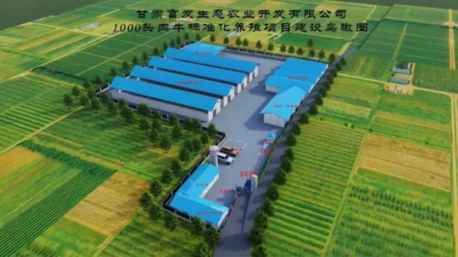 未来肉牛养殖发展前景如何(未来肉牛养殖发展前景如何呢)