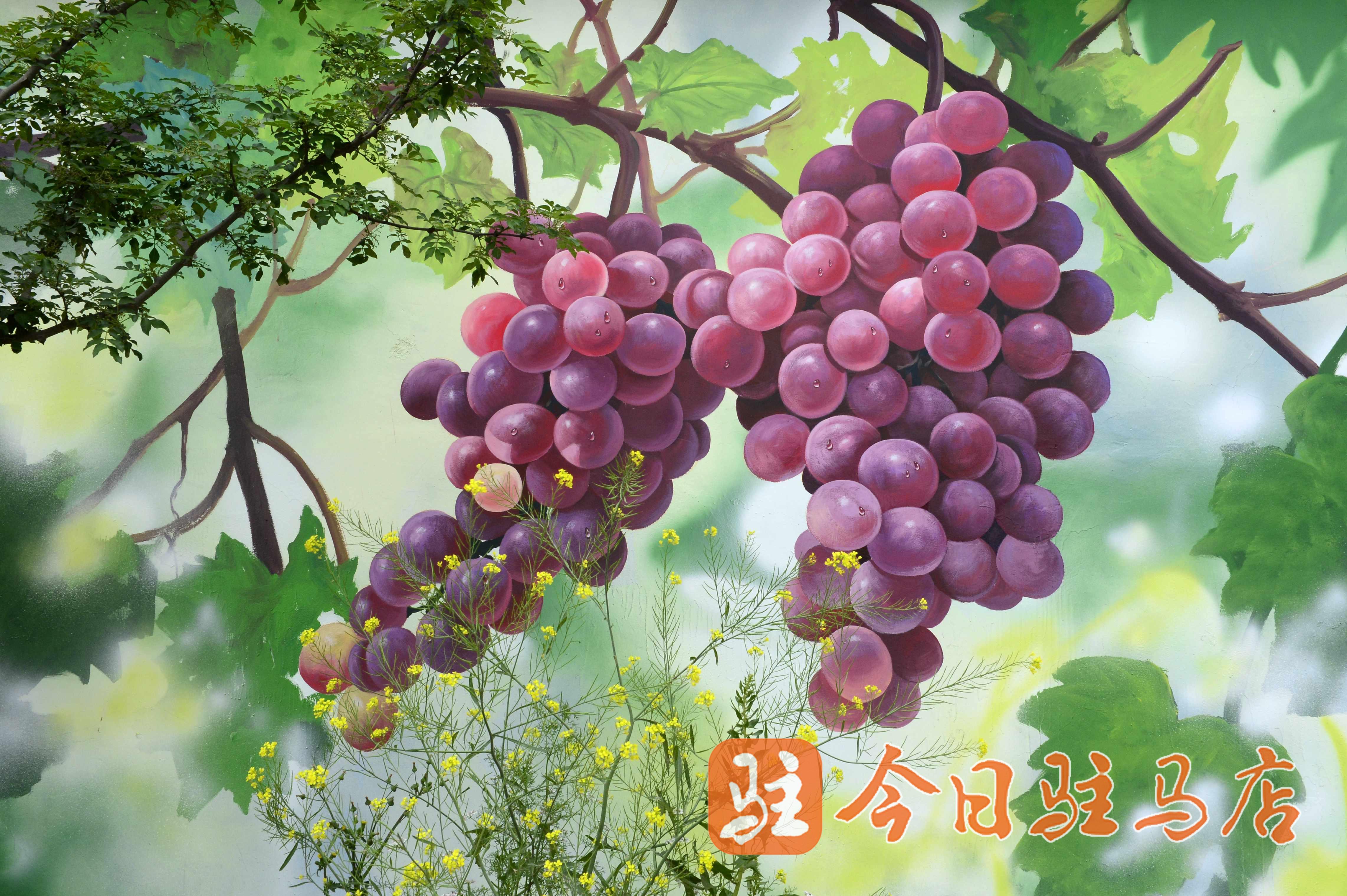 4月24日,走在汝南县三桥镇褚庄村,满眼的墙绘与宁谧乡村的环境有机