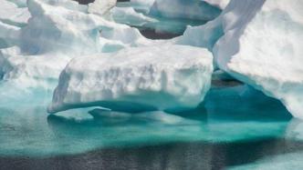 北极冰下藻类被严重污染，微塑胶浓度是周围海水10 倍