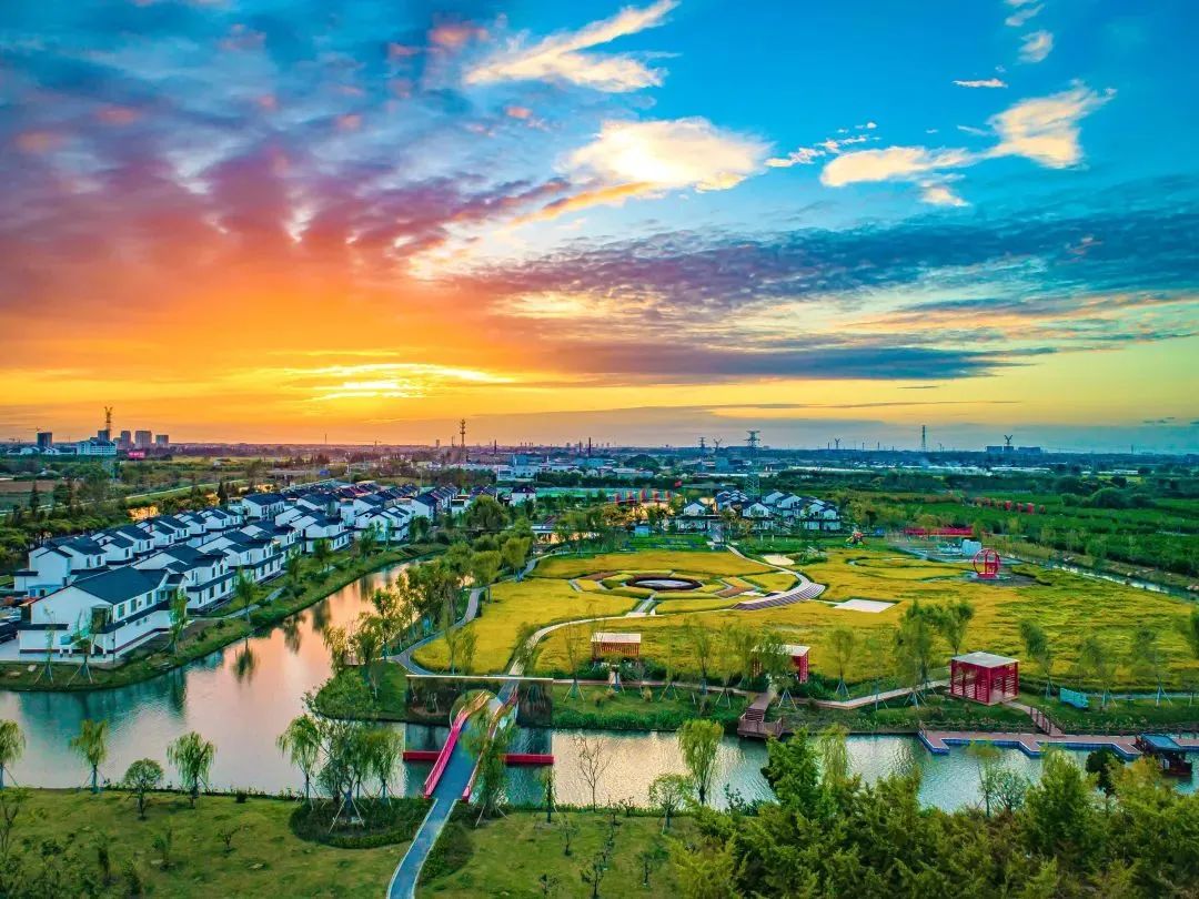 东台,再次荣获全省高质量发展先进县(市,区)!