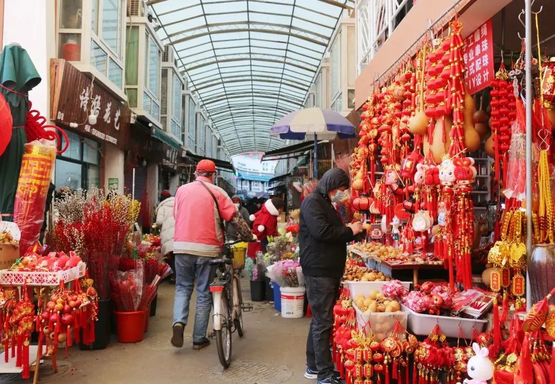 繁华的深处是烟火，上海好逛的花鸟市场有哪些？_澎湃号·湃客_澎湃新闻 