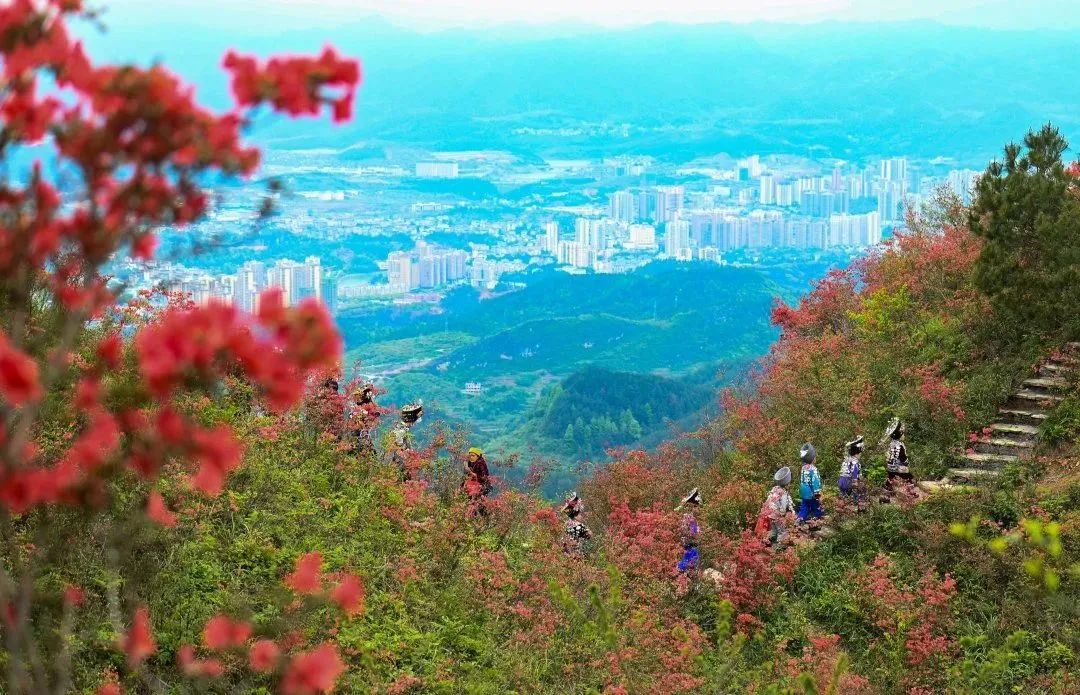 松桃飞灵山图片图片