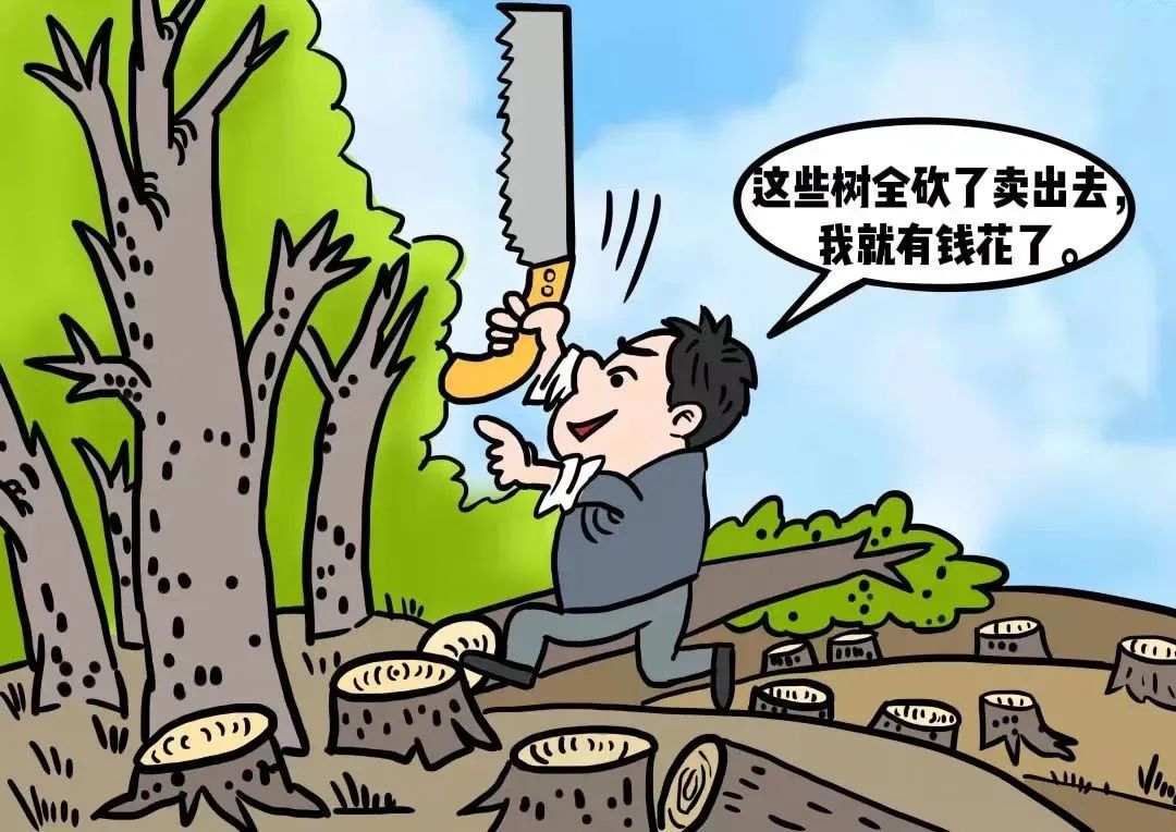 案例| 男子未办采伐许可证,砍伐自购林木获刑八个月_澎湃号·政务