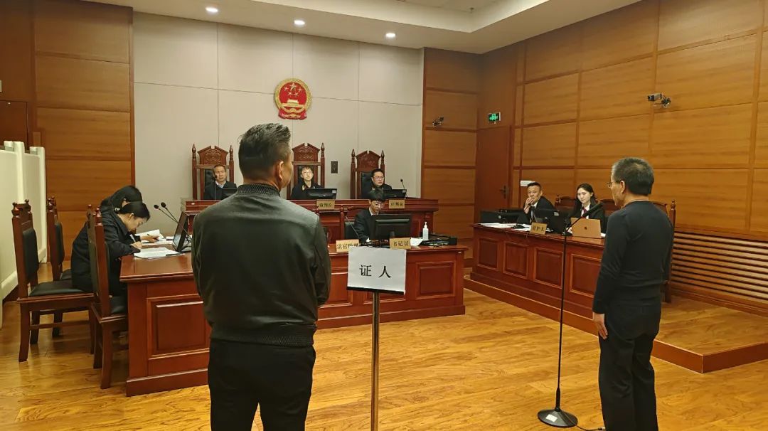 强基赋能质效双优刑事案件证人出庭作证助推庭审实质化