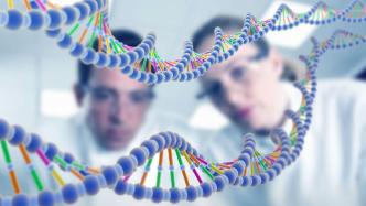 科学家设计基因调控回路延缓衰老