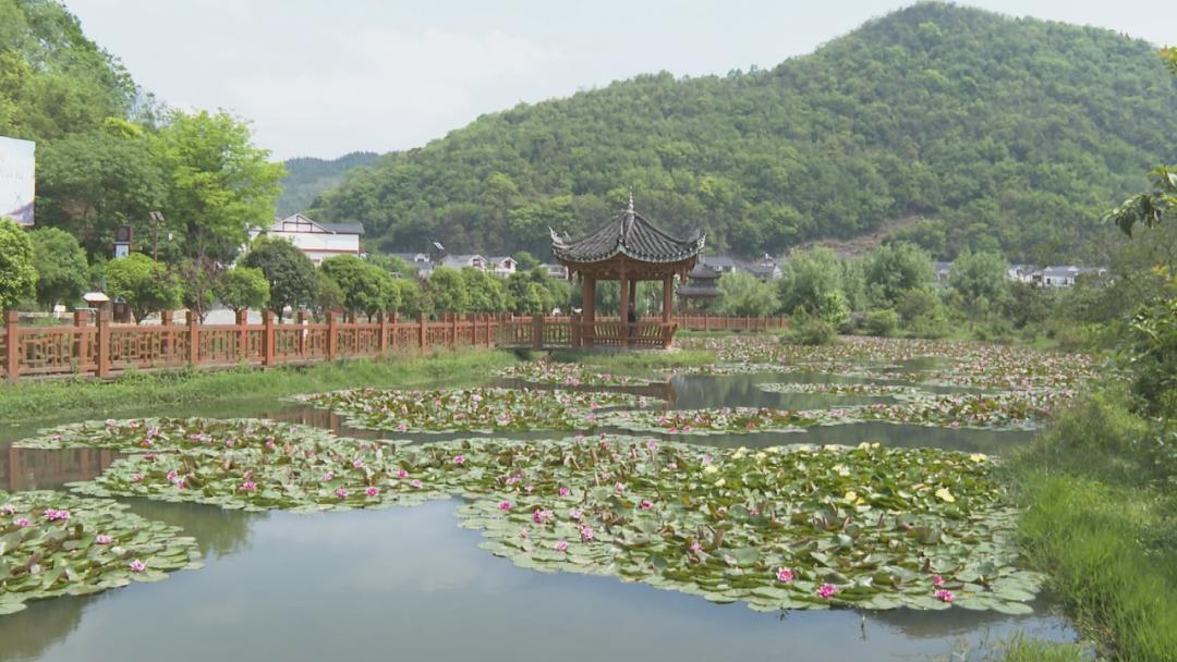 五一系列报道五一假期普定景区旅游攻略