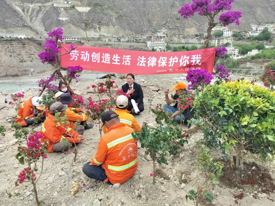 风里雨里，法伴你同行——守护身边平凡而伟大的劳动者 澎湃号·政务 澎湃新闻 The Paper