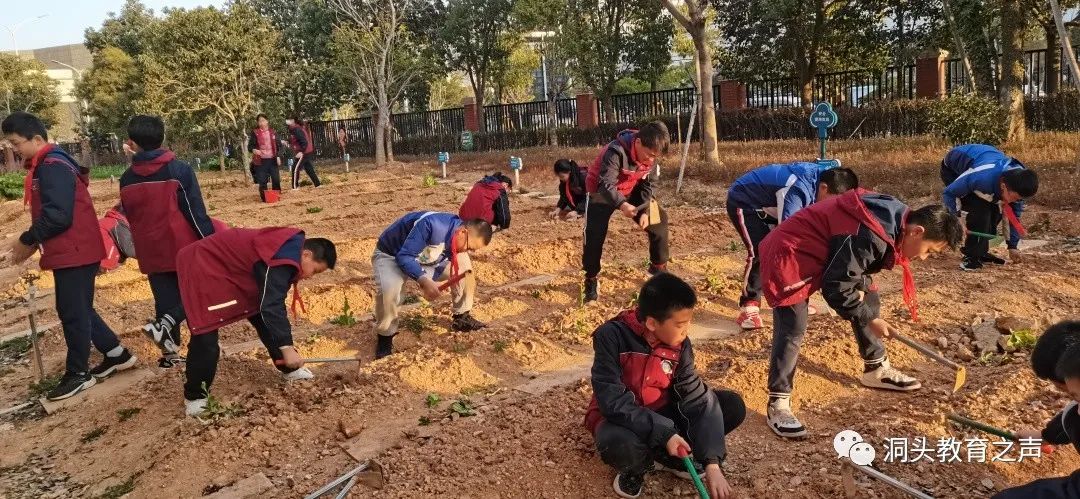 洞头区实验小学图片