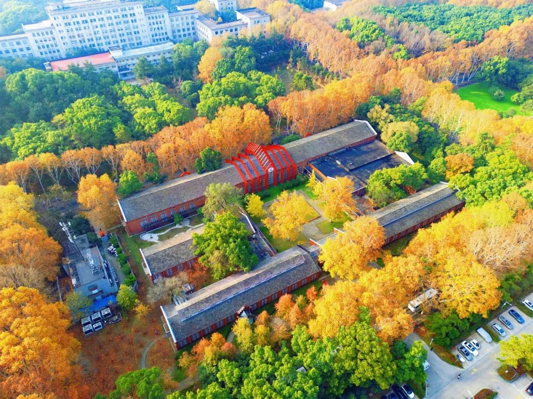 畅游森林大学,华科大一日游攻略来了!