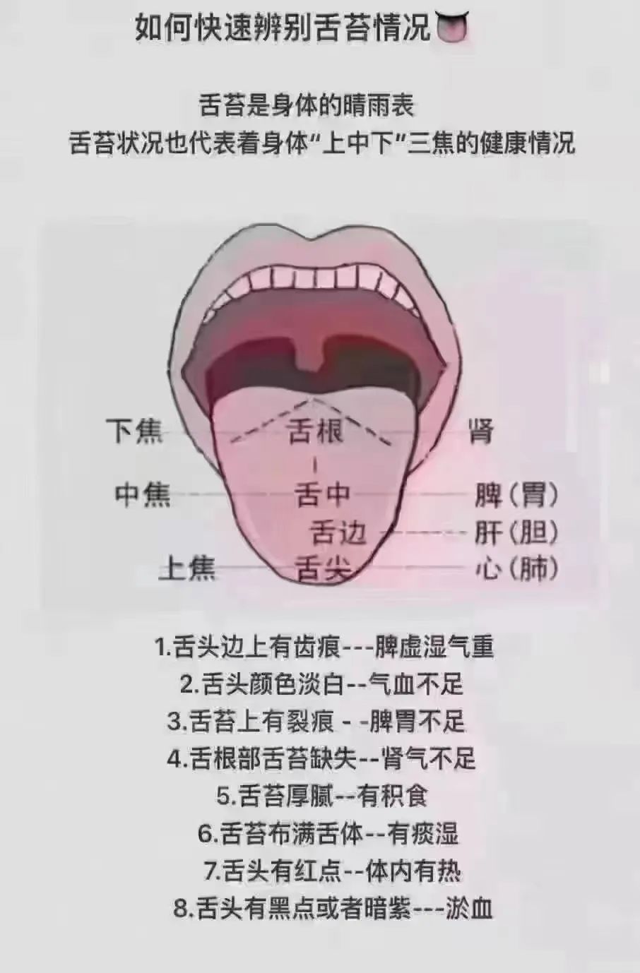 看舌诊，调体质（四）_澎湃号·湃客_澎湃新闻-The Paper