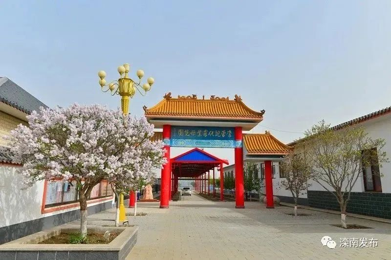 滦南县姚王庄镇:美丽乡村建设见实效_澎湃号·政务_澎湃新闻-the