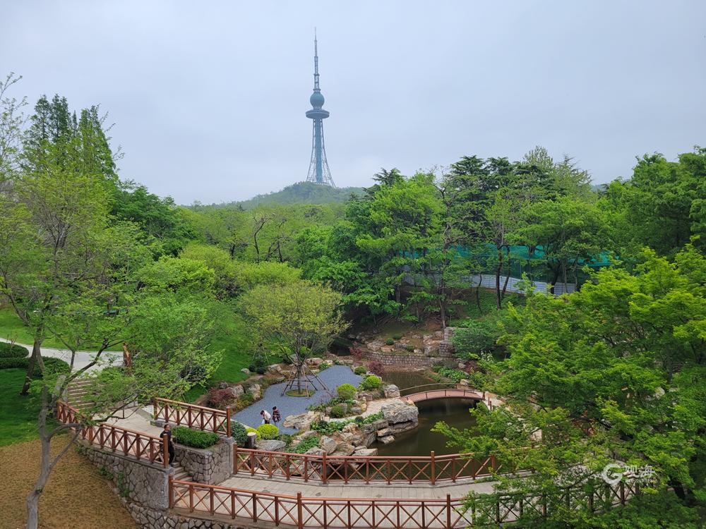 嫣然吐放漫步太平山中央公园图源:观海新闻客户端青岛的空气格外清新