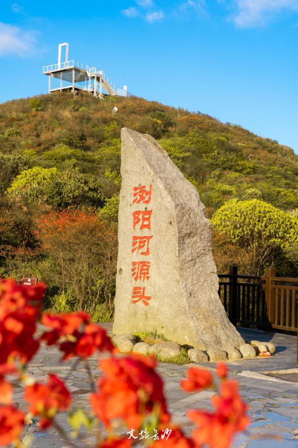 明媚热烈的山风裹挟着杜鹃花海,打破了沉寂一整个春天的大围山,生机