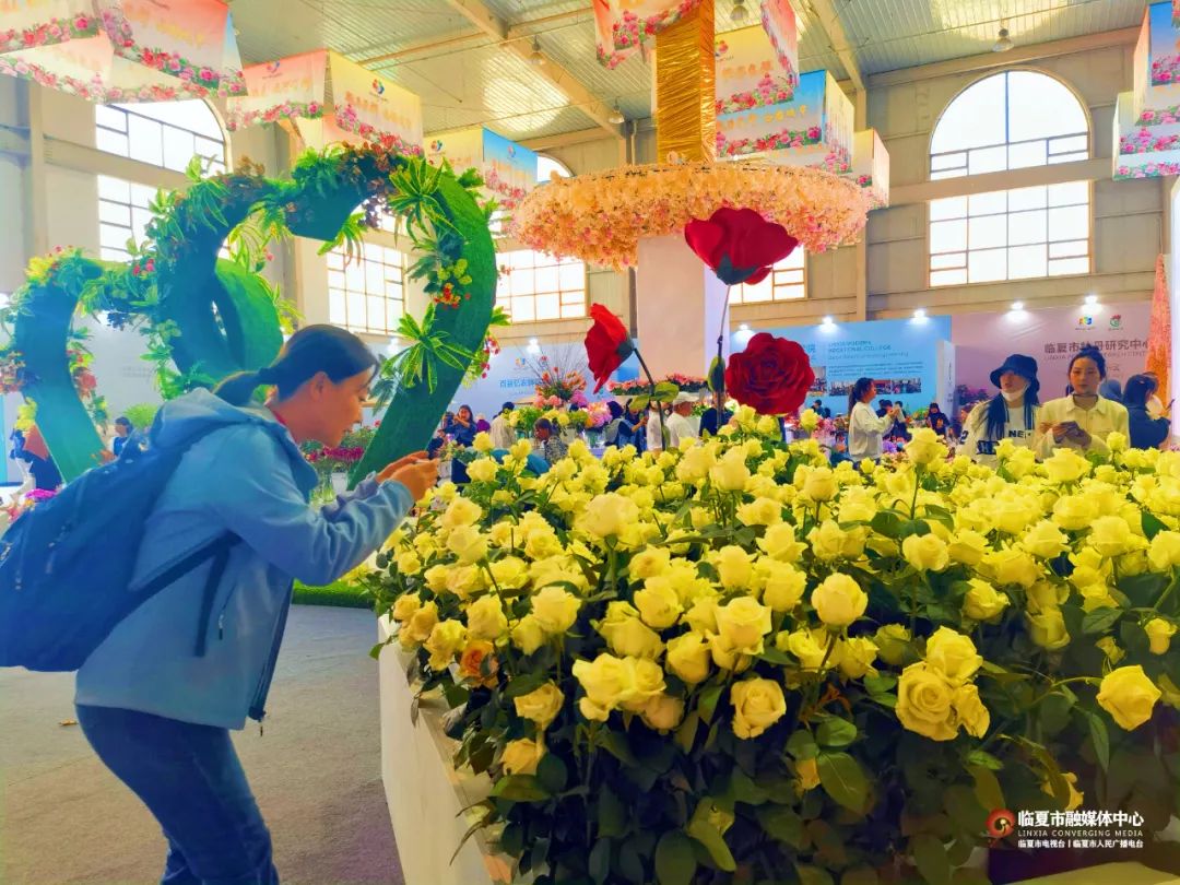 重庆秀山：龙凤花海 玫瑰之约-上游新闻 汇聚向上的力量