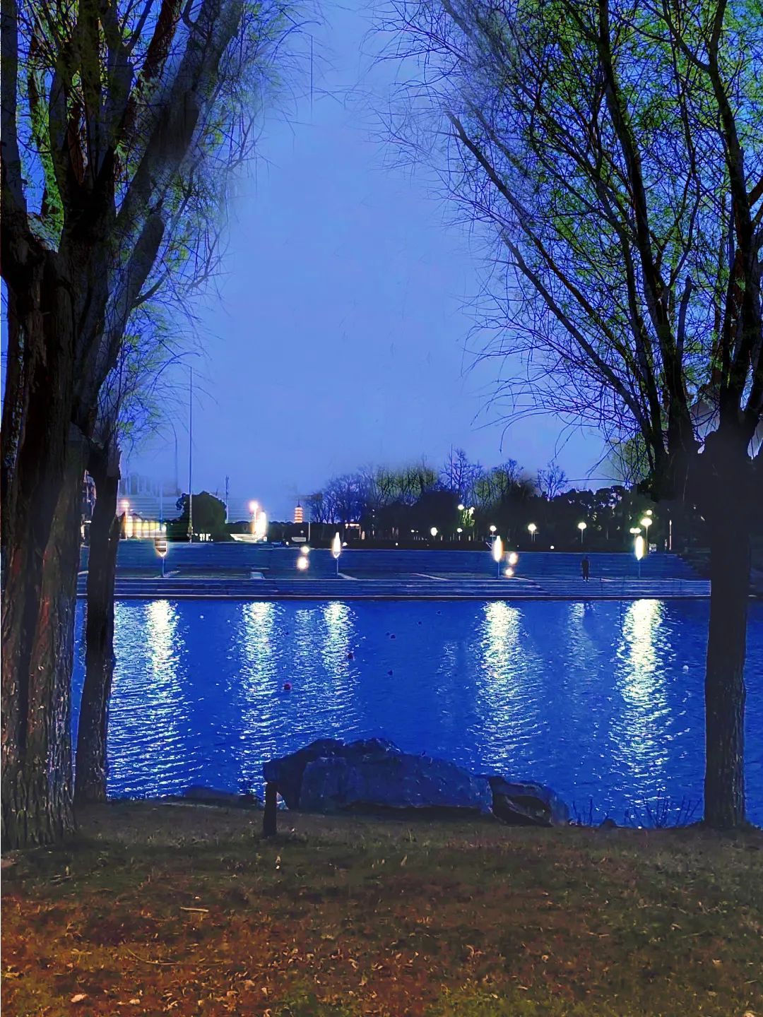 夜间限定流光溢彩跟理一起去追光