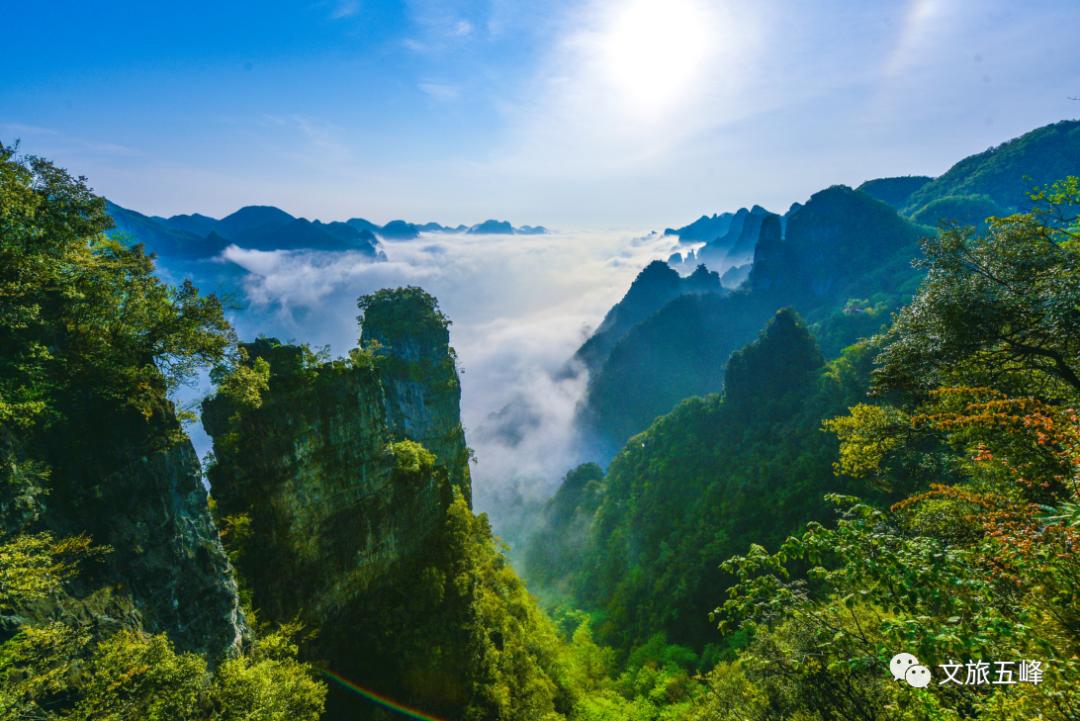 去五峰,享一方茶旅的诗意生活!