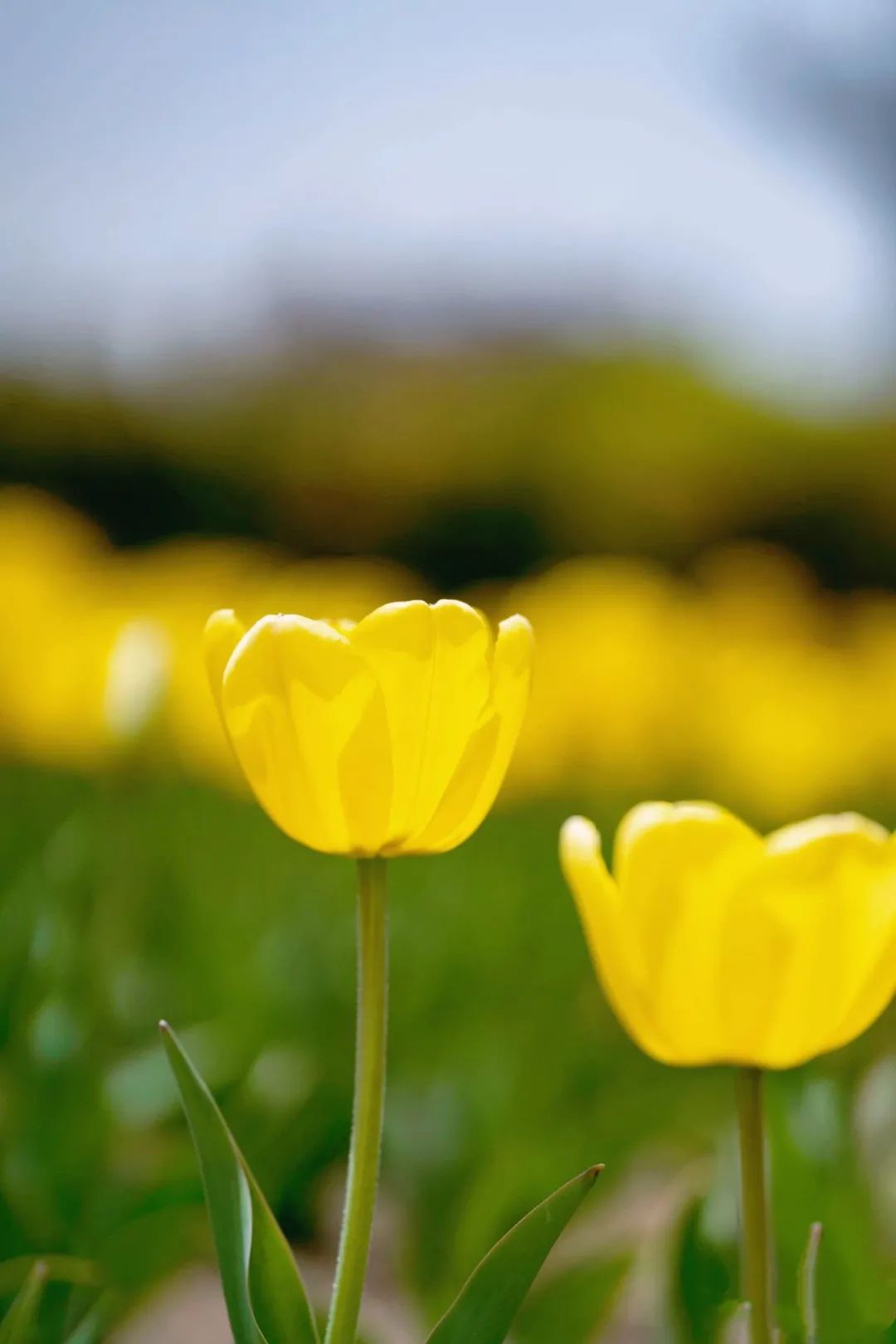 首先你要快乐，其次都是其次。