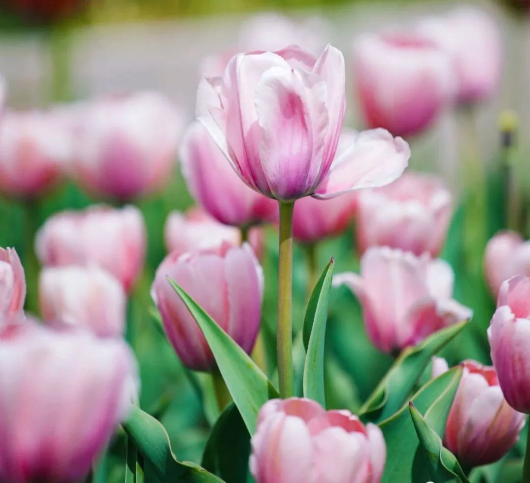 首先你要快乐，其次都是其次。